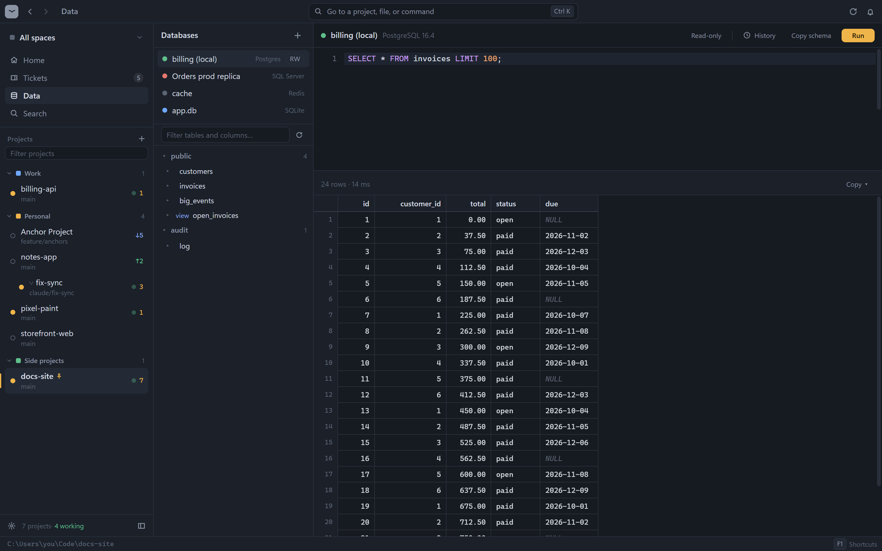 The database view with a Postgres connection, its tables, a query, and the result rows